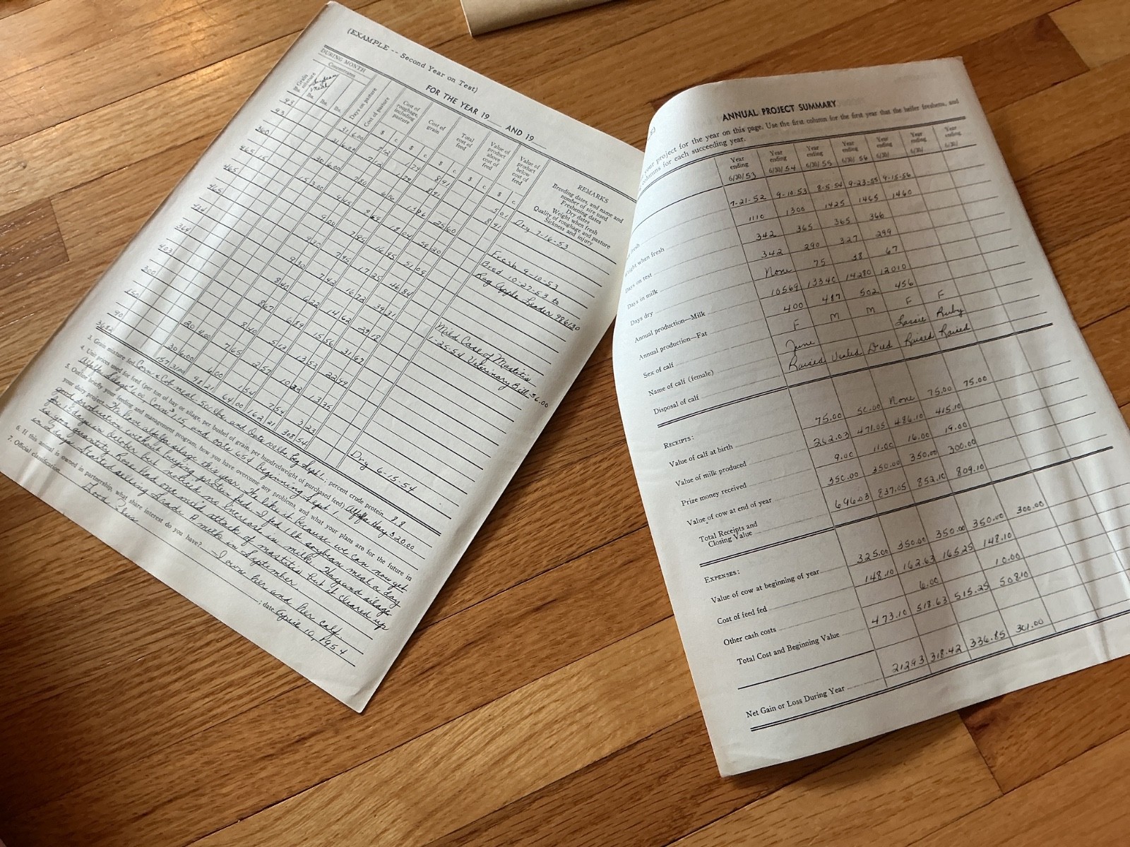 1950 4H Dairy Cow Project Record Book – Minnesota