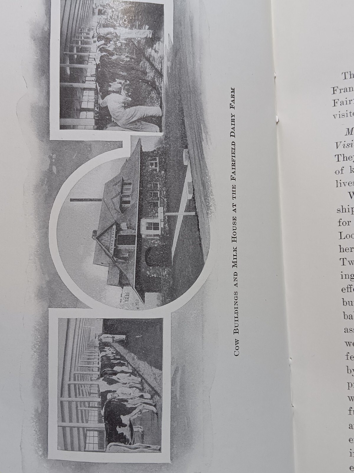 1910 Certified Milk Producers Association Convention Proceedings Book Dairy