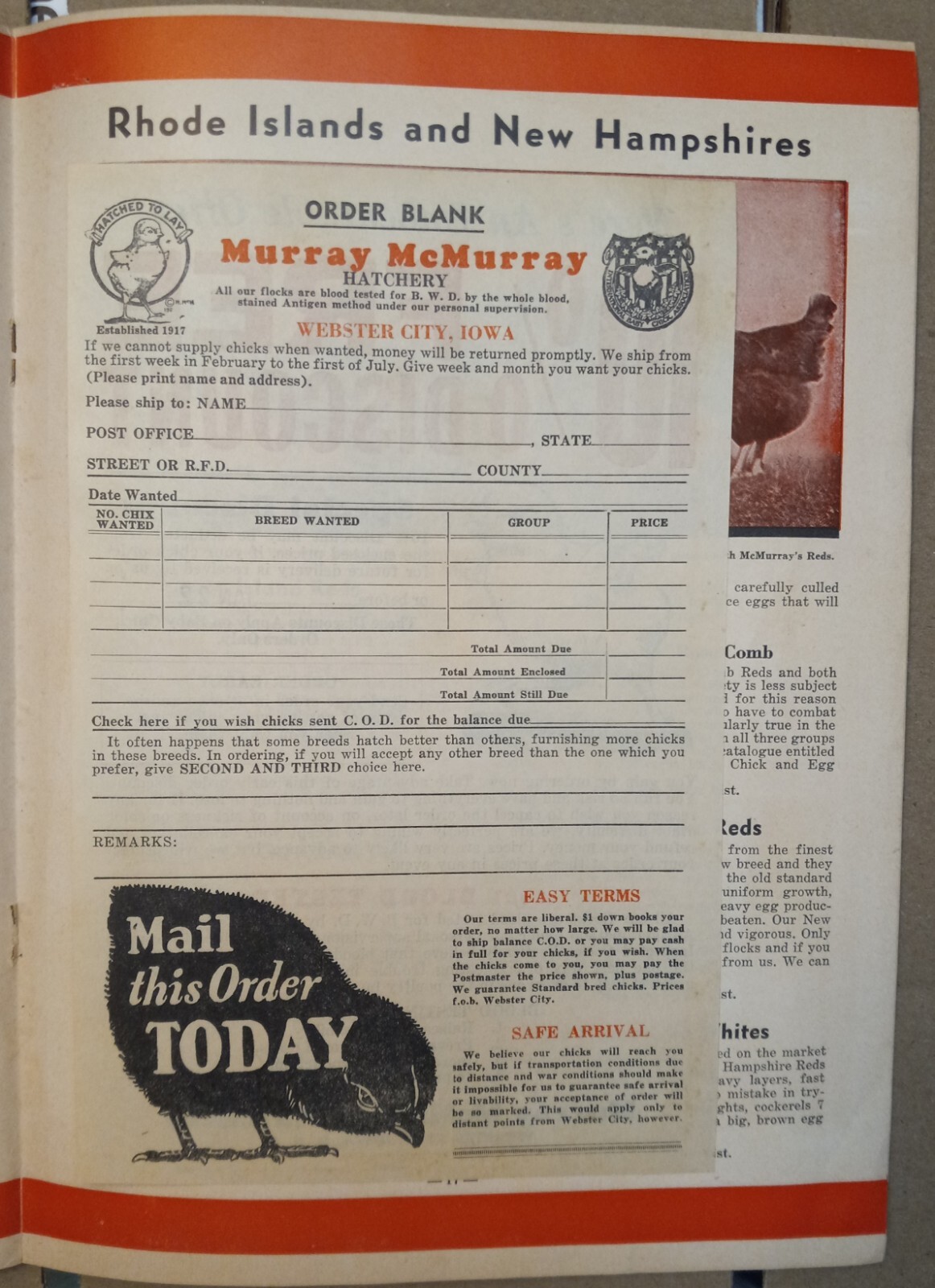 Vtg 1944 Murray McMurray Hatchery Webster City Ia Catalog Order Form Price List