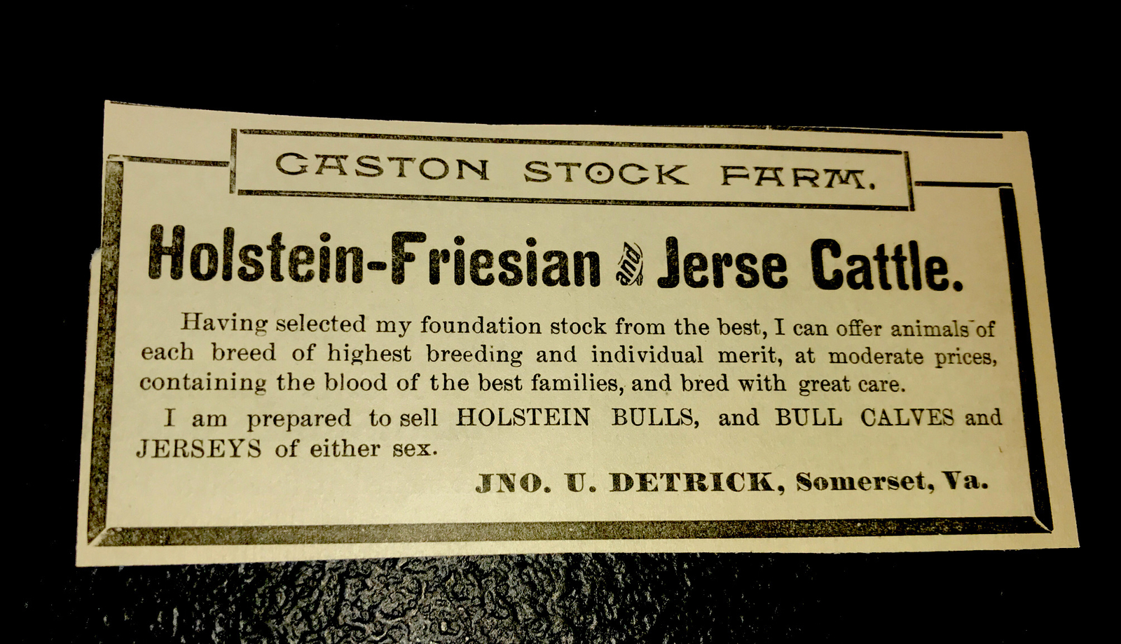 1900 Detrick Cattle Cow Farm Advertising – Somerset – Virginia