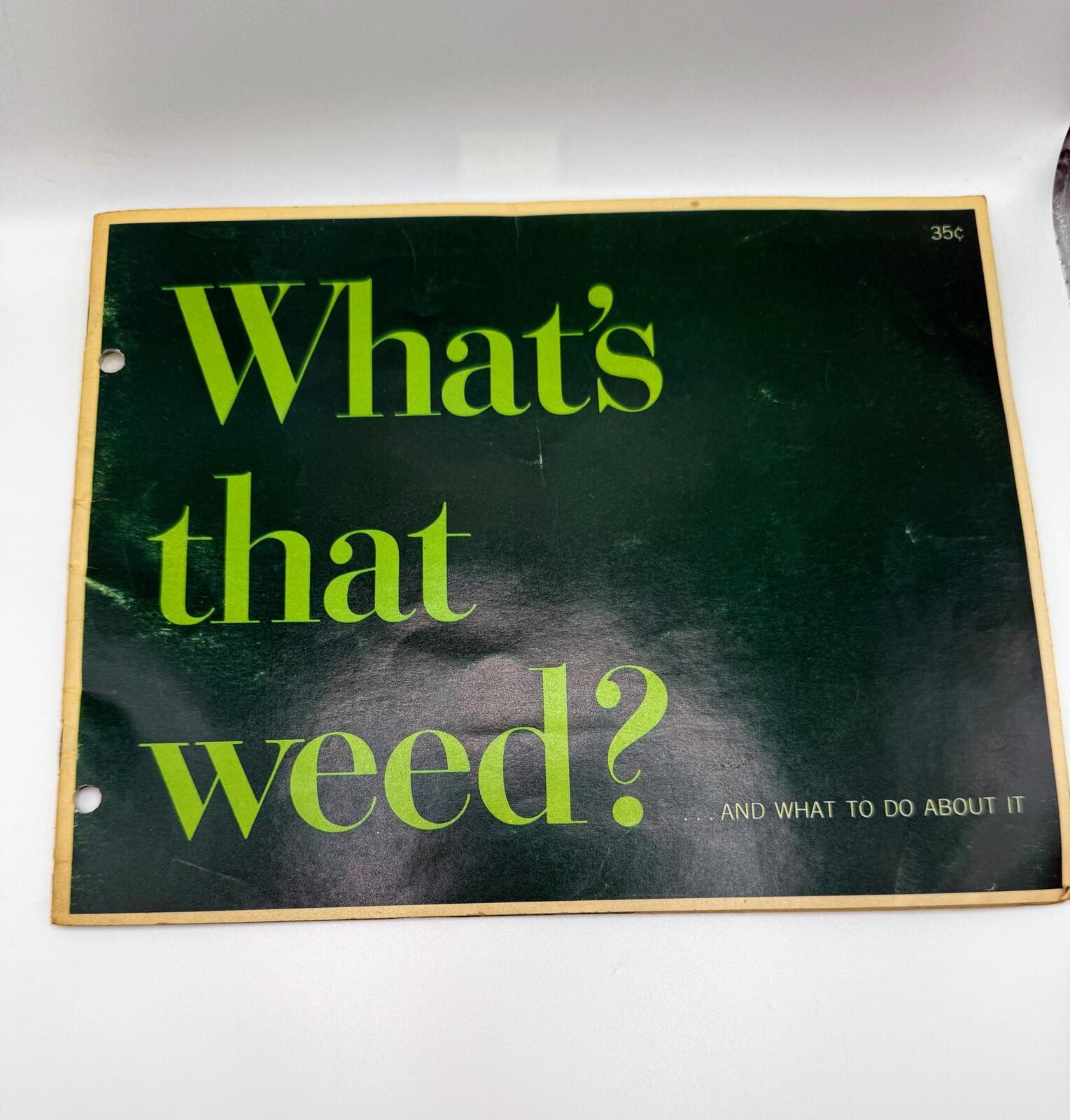 Whats That Weed? Original Vintage Agricultural Brochure Scotts Turf Builder