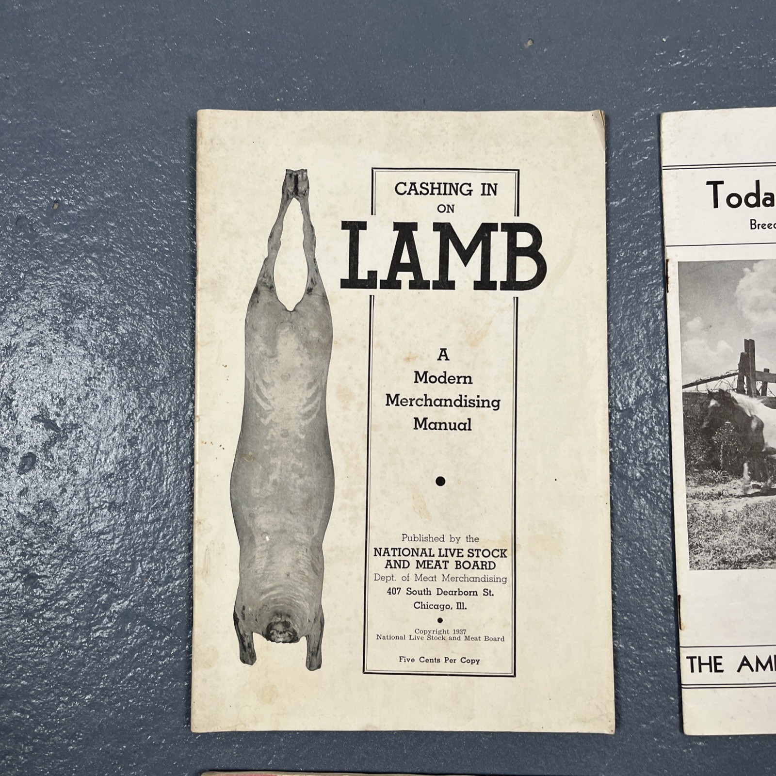 Lot Of Vintage 1930s & 1940s Farming Ephemera Livestock Cattle Club VTG Animal