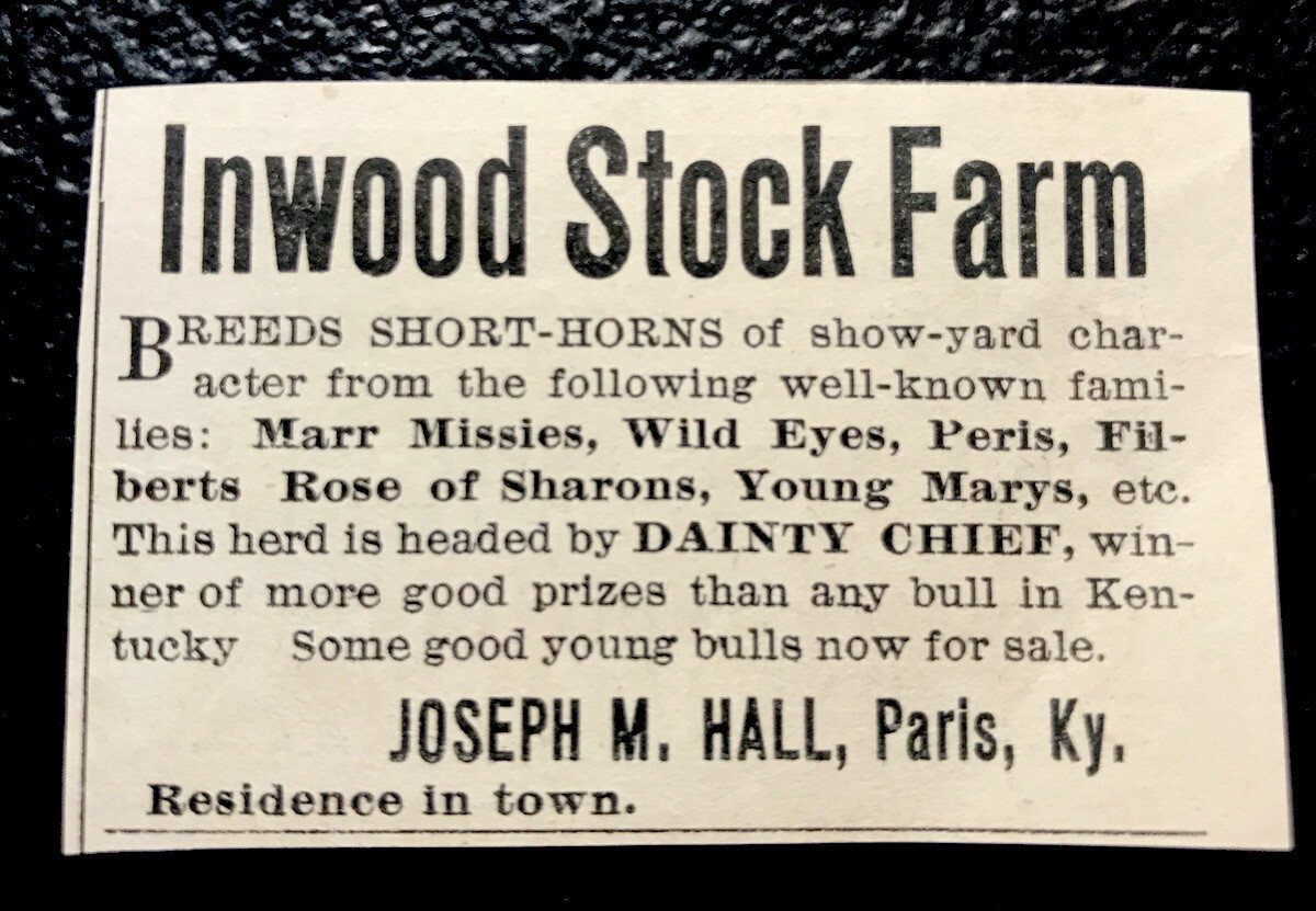 1900 Inwood Stock Farm Cattle Advertising – Paris – Kentucky – Cow