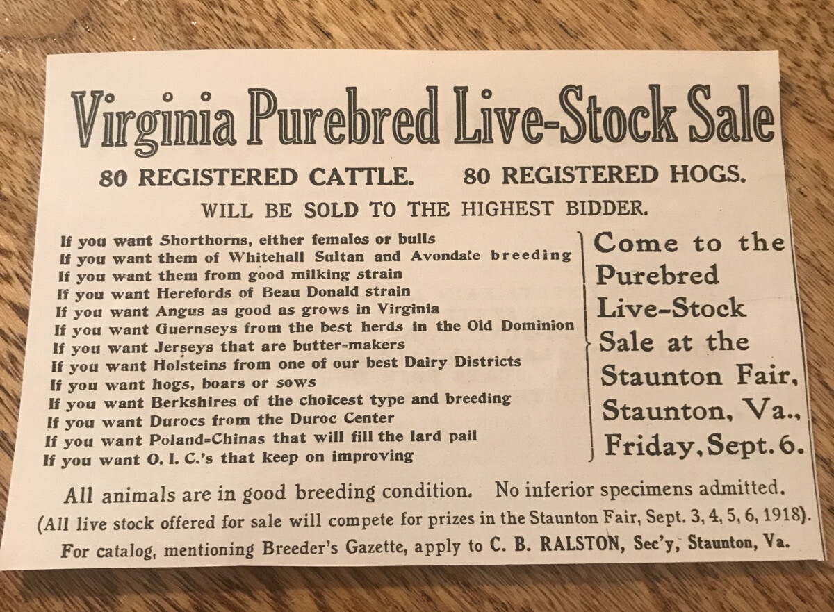 1918 Cattle & Hogs Public Sale – Staunton – Virginia – Pig Cow Farm Advertising