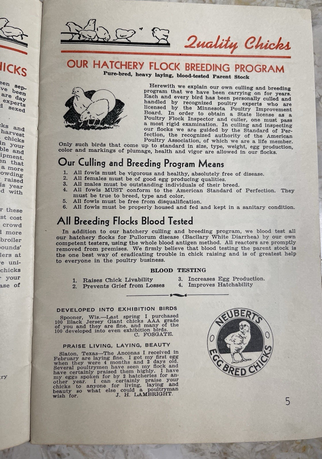 Vintage 1945 Neubert&rsquo;s Neubert Poultry + Supply Catalog Mankato MN