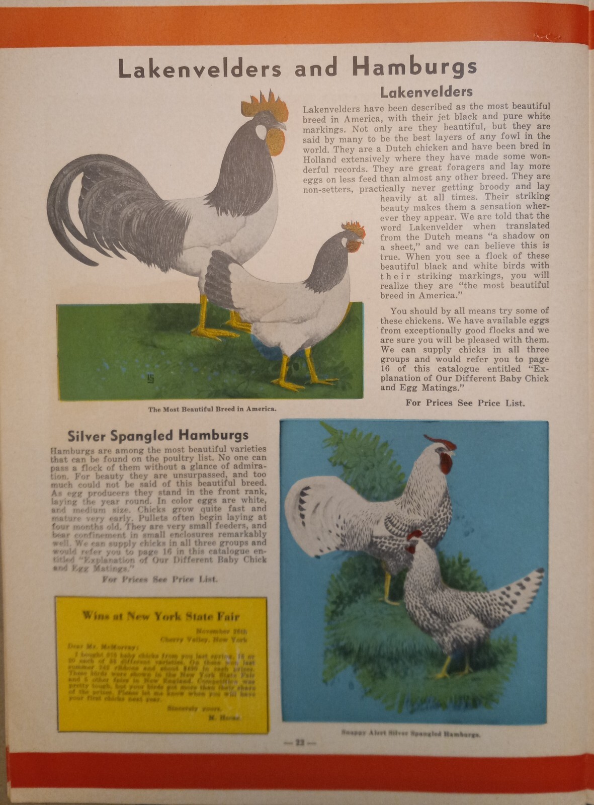 Vtg 1944 Murray McMurray Hatchery Webster City Ia Catalog Order Form Price List