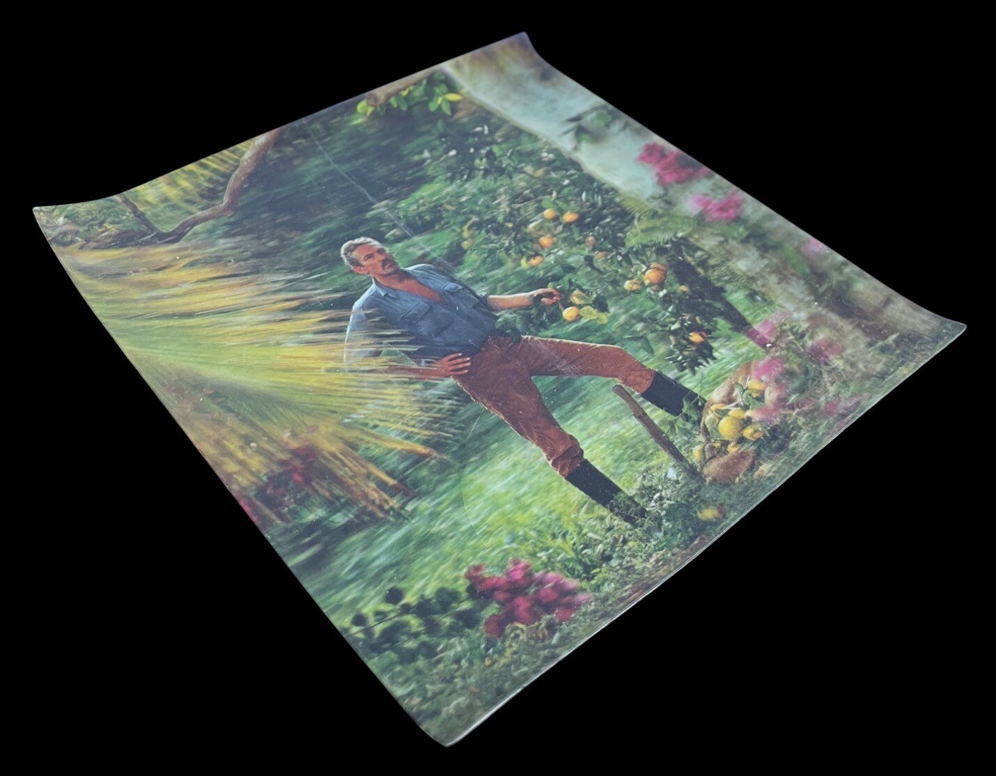 Vintage Xograph 3D Lenticular Picture Tropical Garden Orange Grove USA 1960s