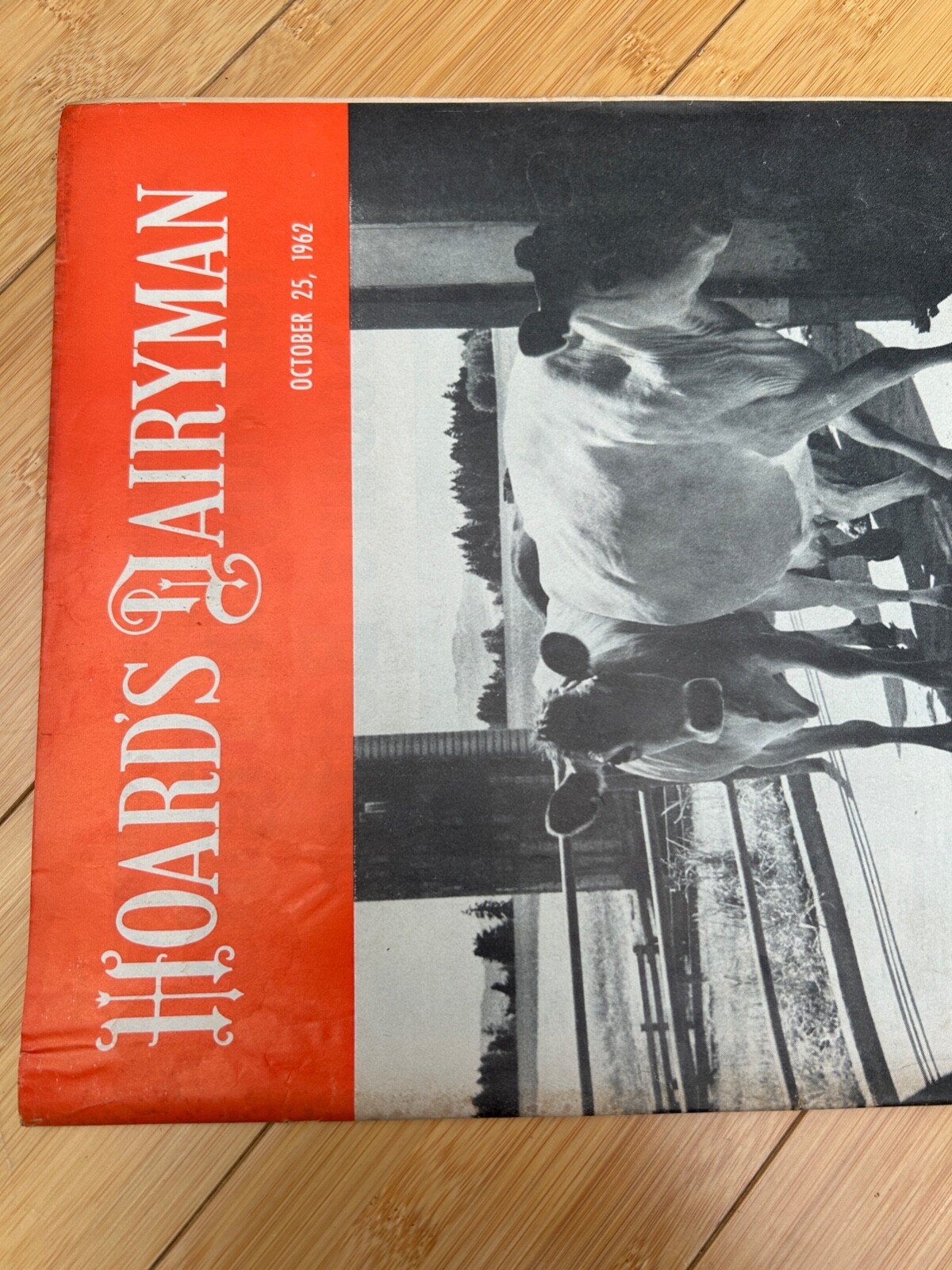 OCT 25 1962 HOARD&rsquo;S DAIRYMAN DAIRY FARM MAGAZINE WARP&rsquo;S ALL-WEATHER PROTECTION