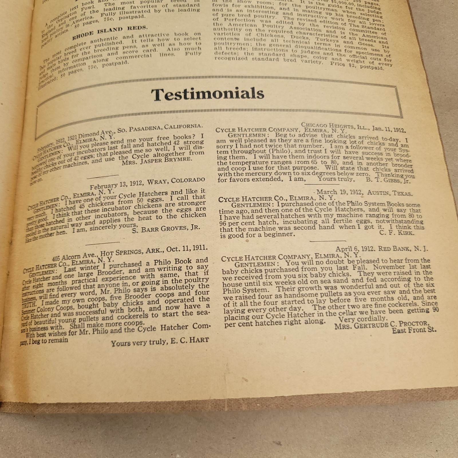1912 Poultry Profits Philo System Cycle Hatcher Company Chicken
