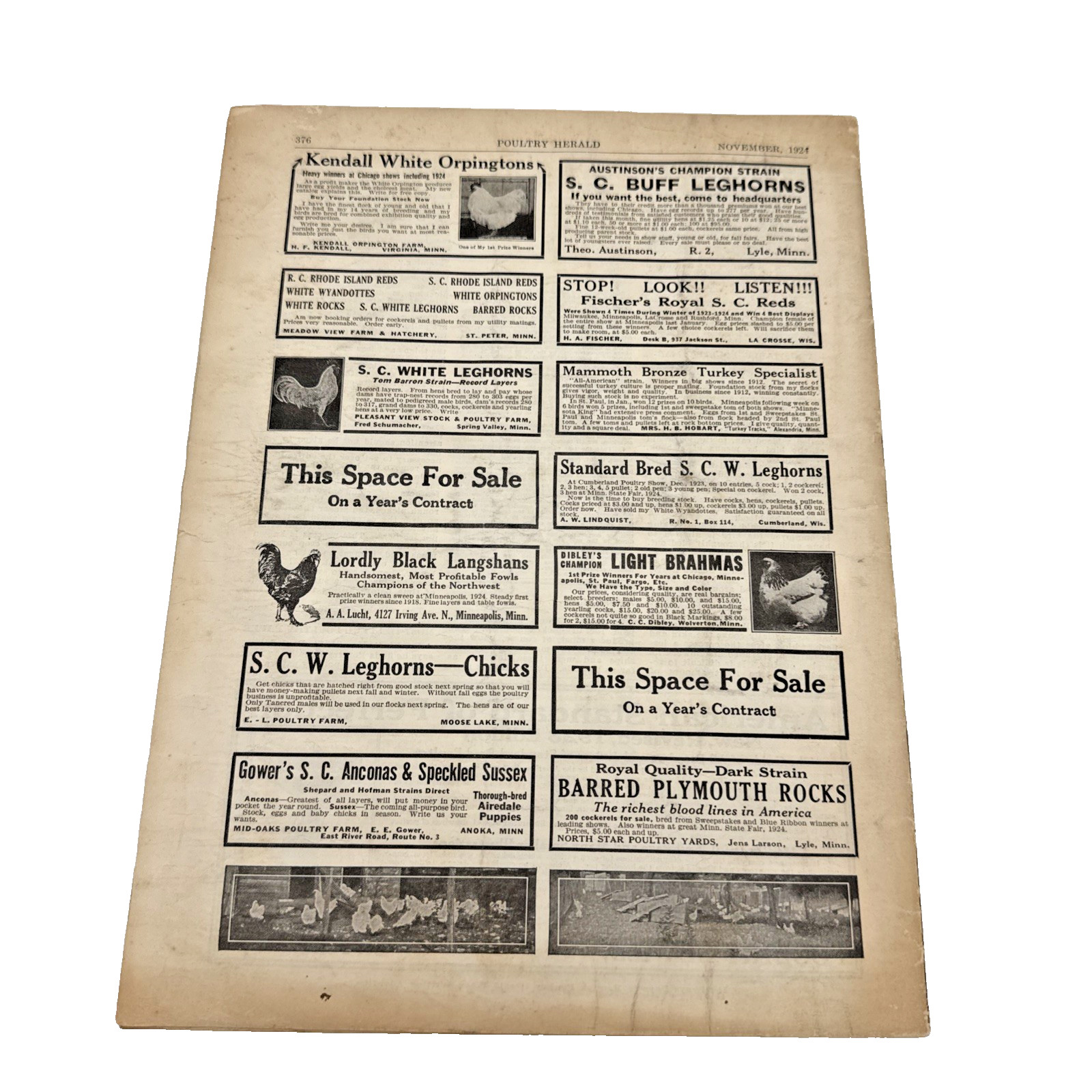 1924 Poultry Herald Magazine St Paul MN Farm Chickens Rooster Ads Vintage