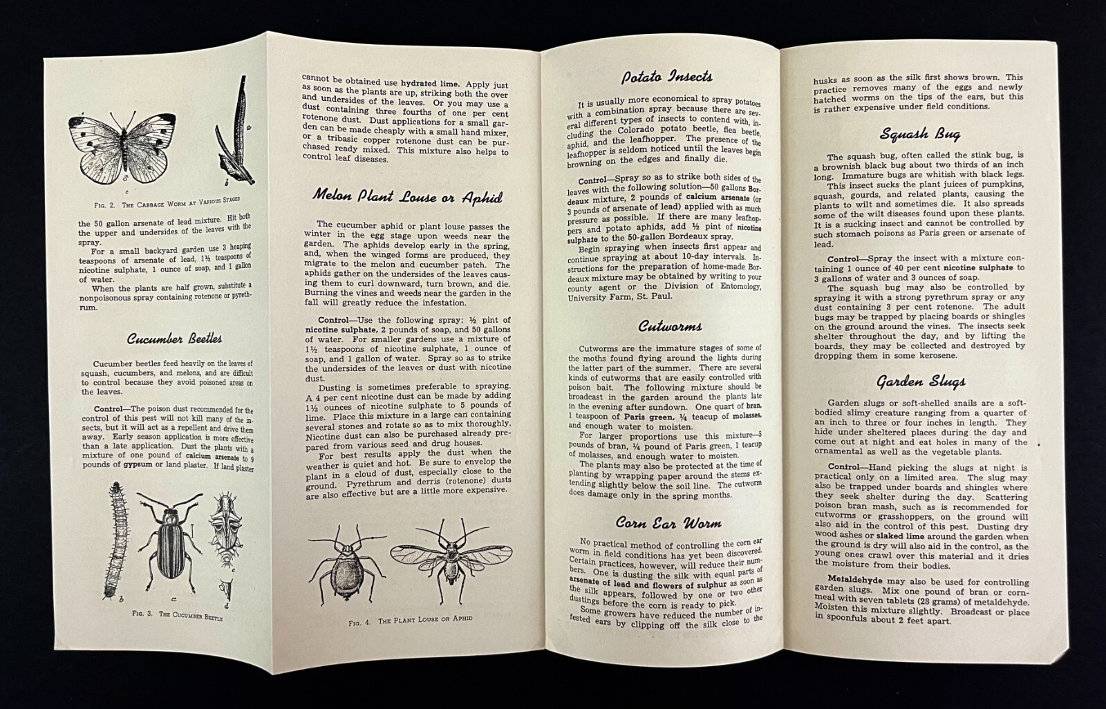 1940 Control Vegetable Garden Insects Bugs Univ Minnesota Vintage Brochure