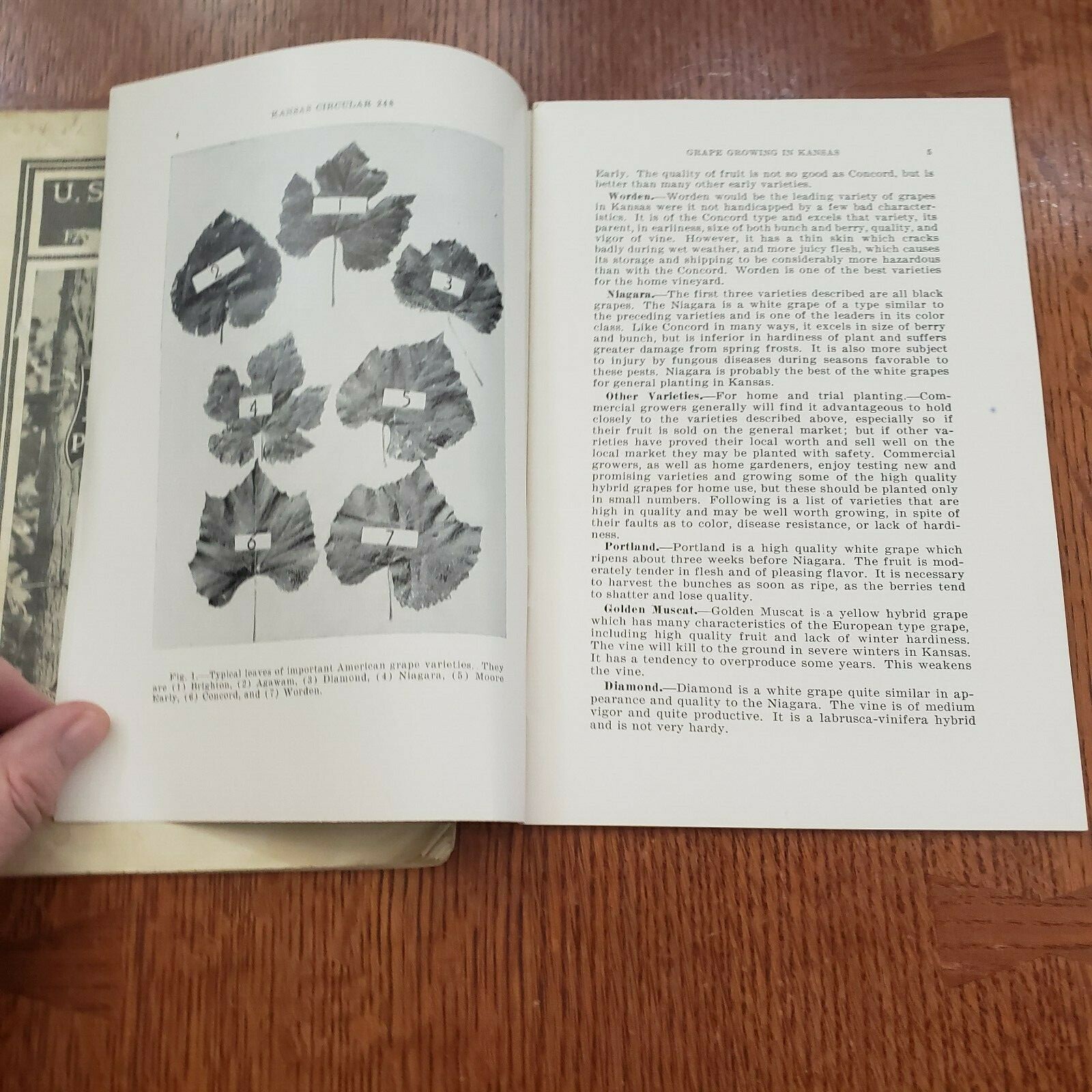 Vintage 2 Pamphlets 1932 U.S. Department of Agriculture 1949 Grape Growing in KS