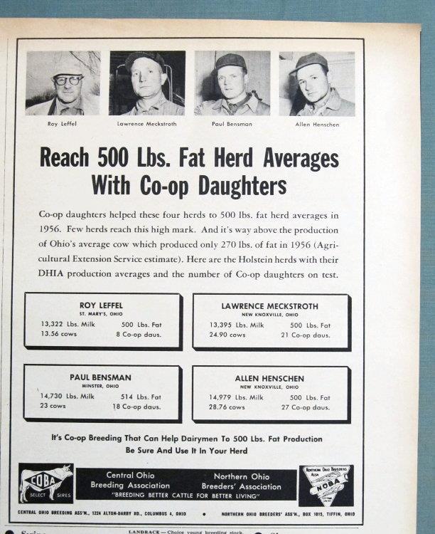 Oriininal 1957 Breeder Ad Features Paul Bensman, Minister, Ohio