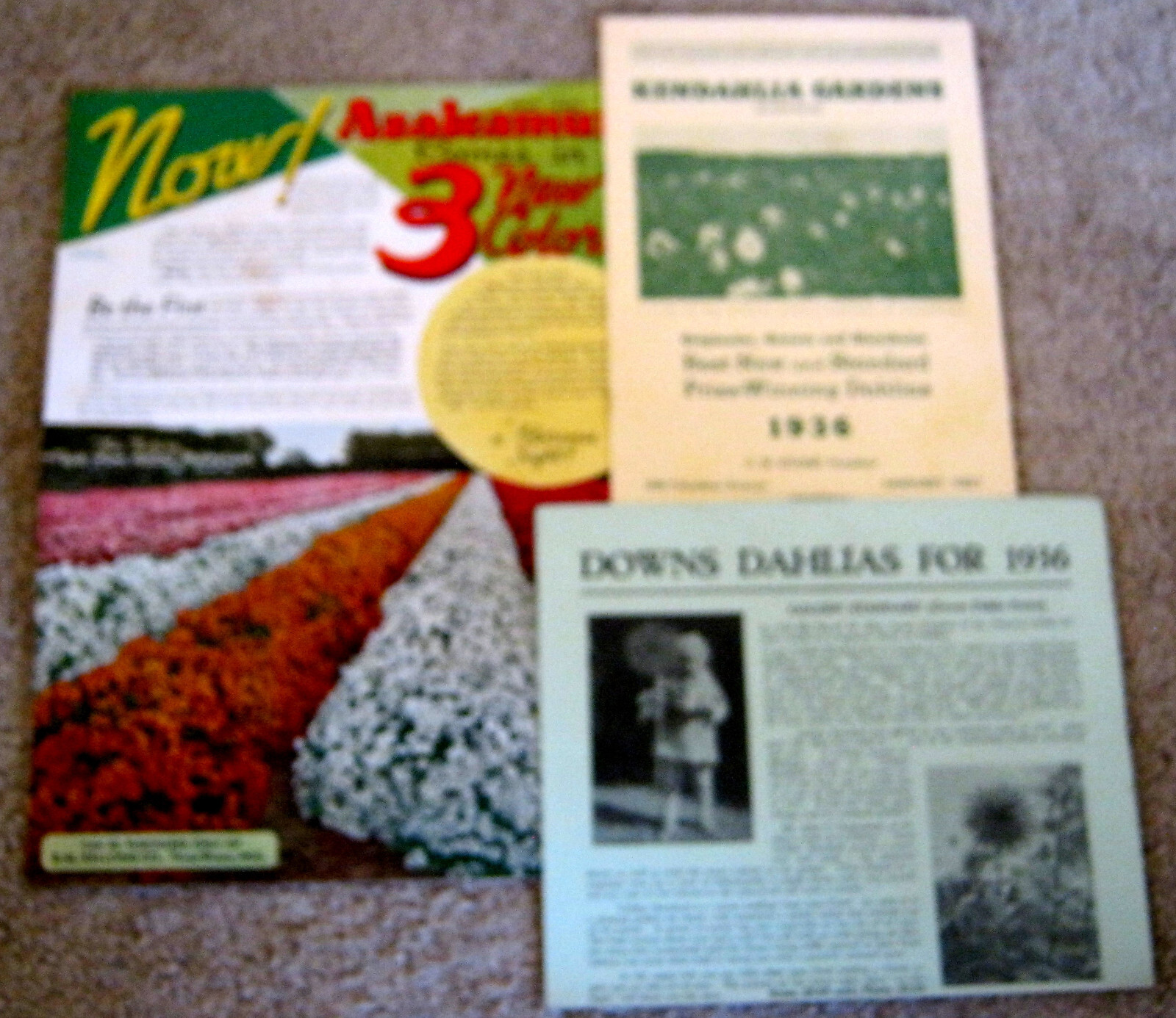HUGE 1900-50&rsquo;s Collection DAHLIAS & Flower Clubs Seeds BOOKLETS Brochure Letters