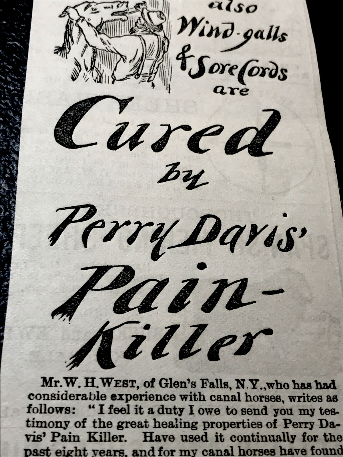 1886 Davis Horse & Cattle Medicine Farm Advertising – Providence- Rhode Island