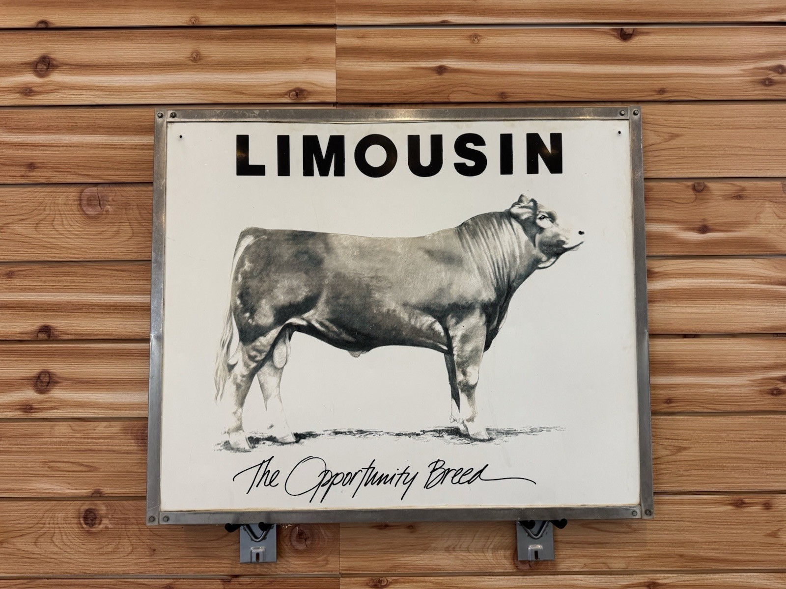 Vintage Limousin Cattle “The Opportunity Breed” Advertising Sign
