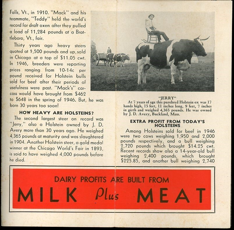 Holstein- Friesian Association of America Born 30 Years to Soon Brochure