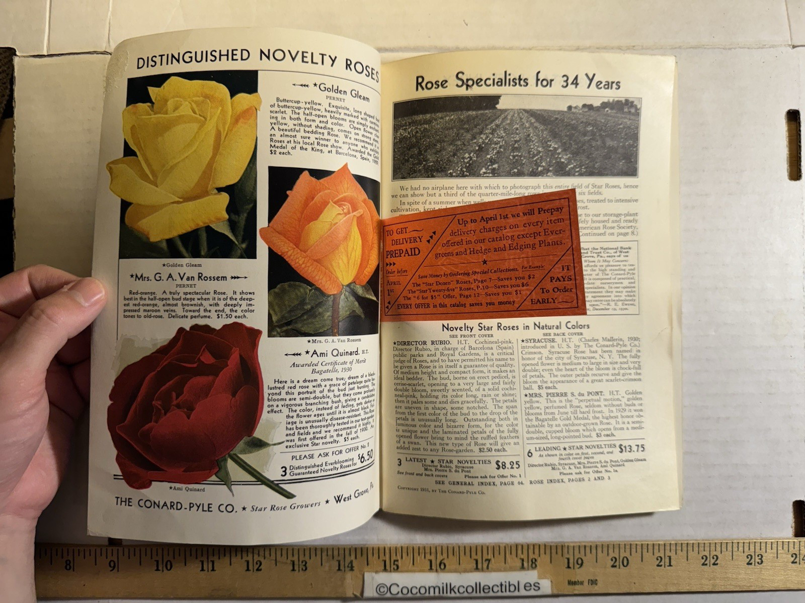 Vintage 1931 The Conard-Pyle CO Star Rose Growers Catalog West Grove PA