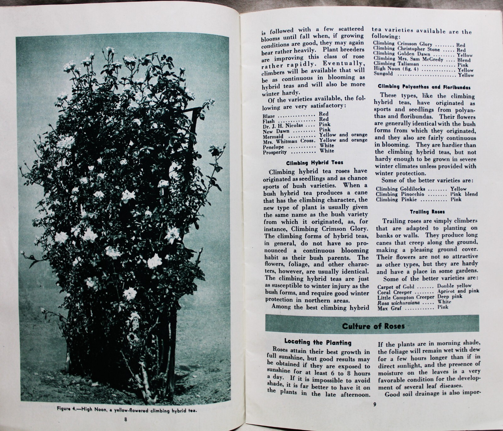 U.S. DEPARTMENT OF AGRICULTURE ROSES FOR THE HOME BROCHURE GUIDE 1953 VINTAGE