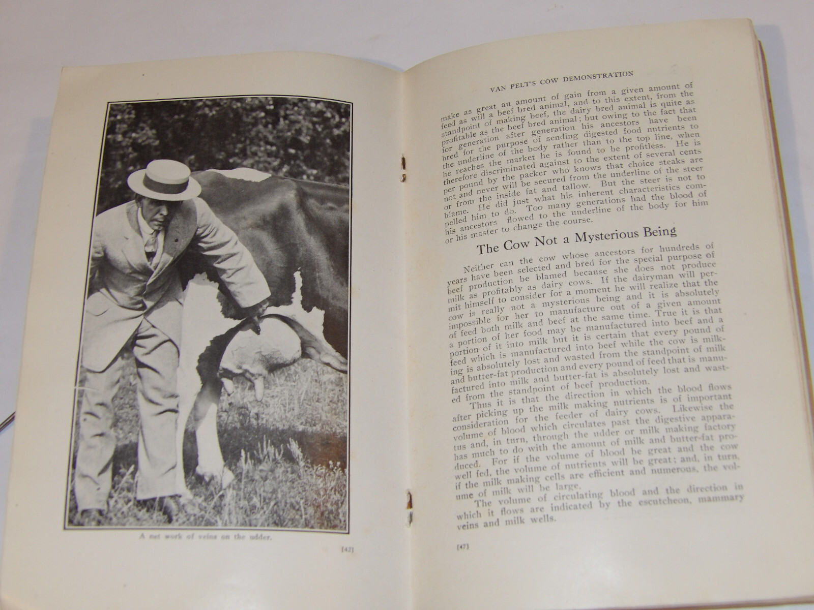 1911 VAN PELT&rsquo;S COW DEMONSTRATION BOOK! 1st EDITION! ILLUSTRATED! 5 ESSENTIALS!