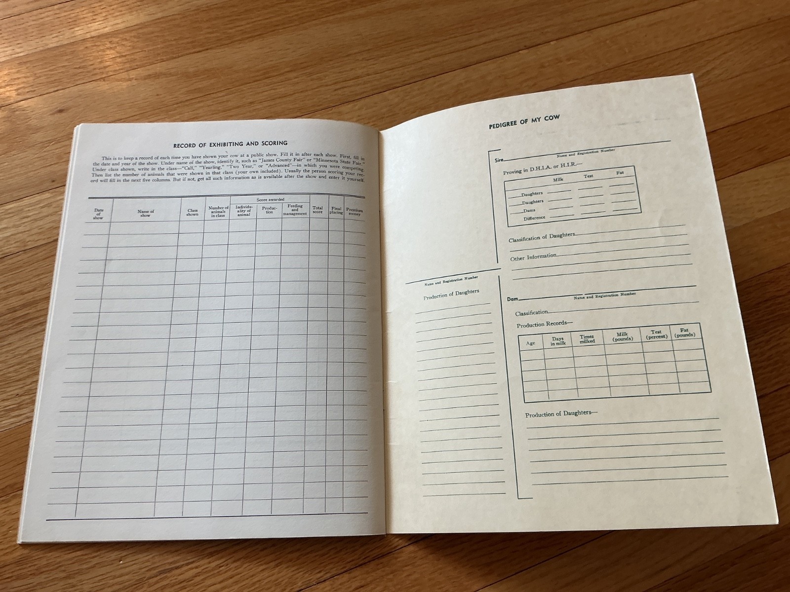 1950 4H Dairy Cow Project Record Book – Minnesota