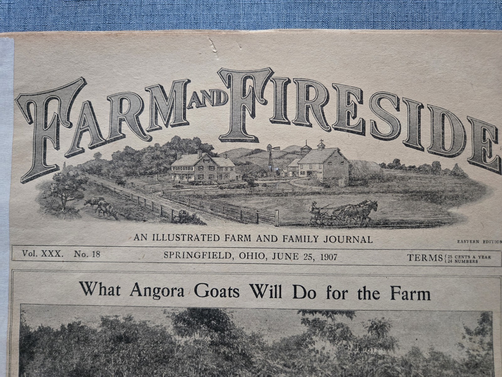 Farm & Fireside Newspaper – Antique Agriculture 1907 Articles Ads Illustrations