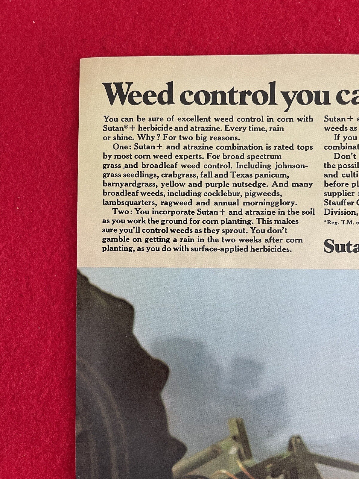 Vintage 1976 Sutan + Herbicide Weed Control Stauffer Chemicals Print Ad Ad Only