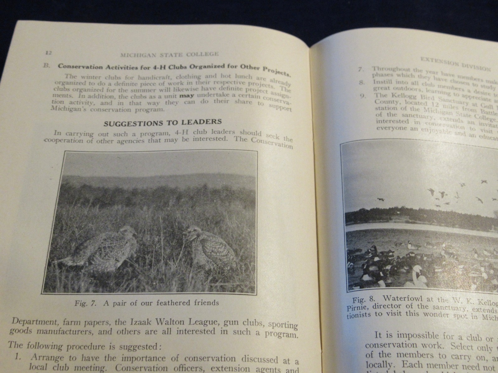 Vintage 1937 MSU Michigan State College Conservation Program for 4H Clubs C183