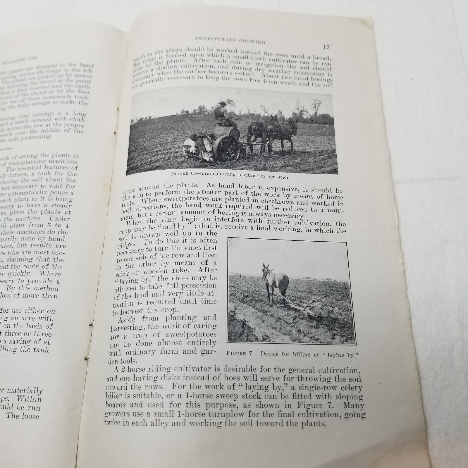 Sweet Potato Growing 1940 Farmers&rsquo; Bulletin Booklet 999 USDA Photos Charts
