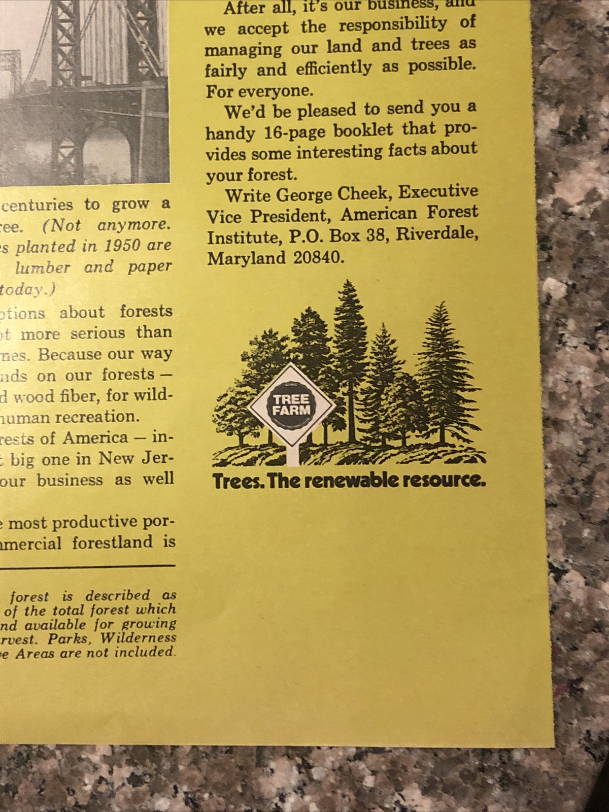 1974 American Forest Institute PRINT AD Great New Jersey Forest VTG 1970s