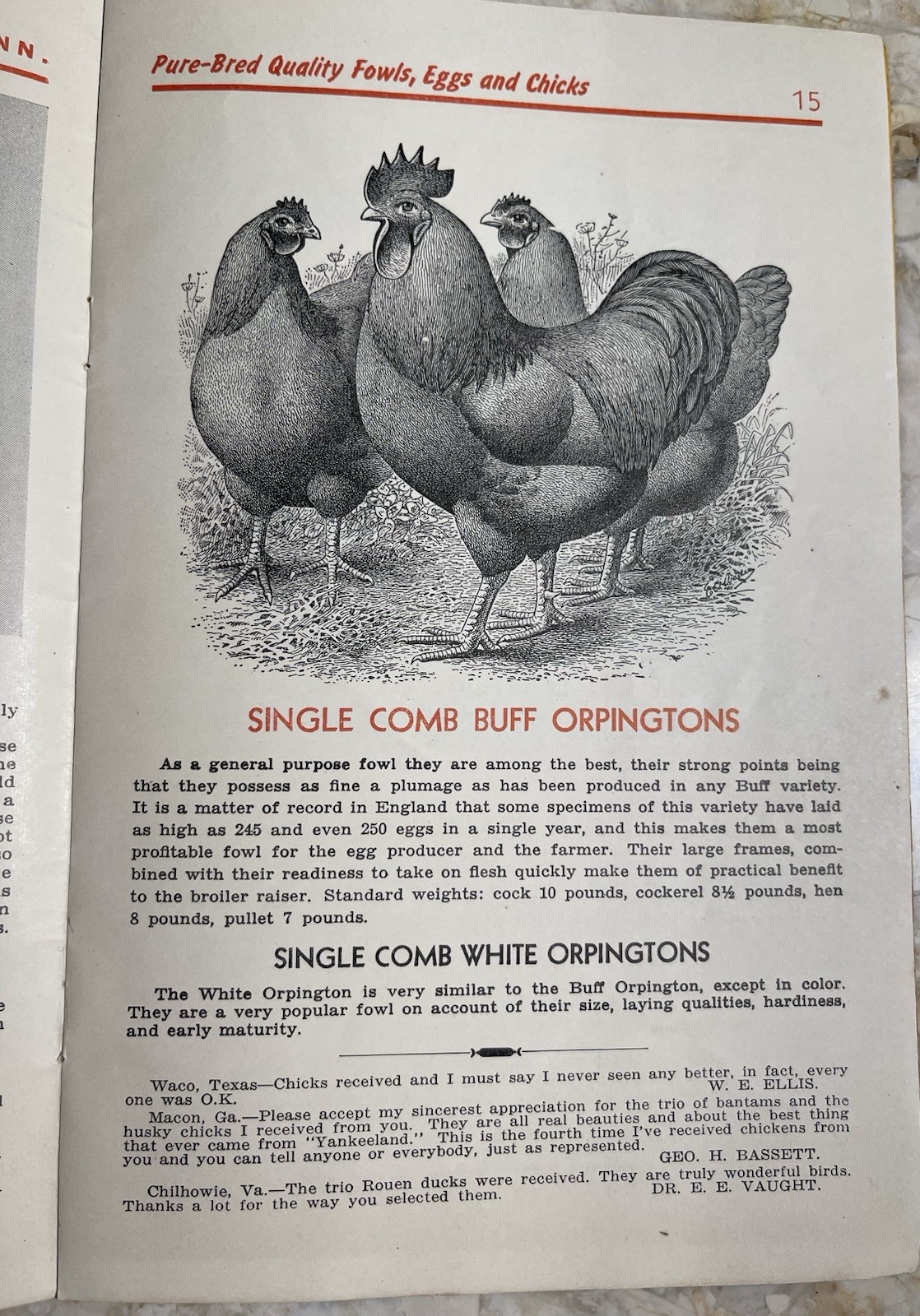 Vintage 1945 Neubert&rsquo;s Neubert Poultry + Supply Catalog Mankato MN