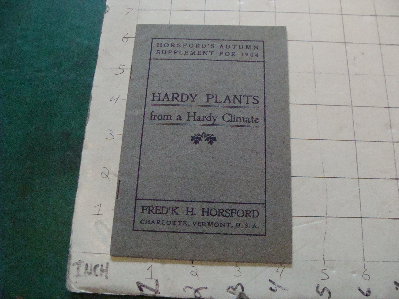 Vintage supplement 1904 HARDY PLANTS from a Hardy Climate FRDK H HORSFORD