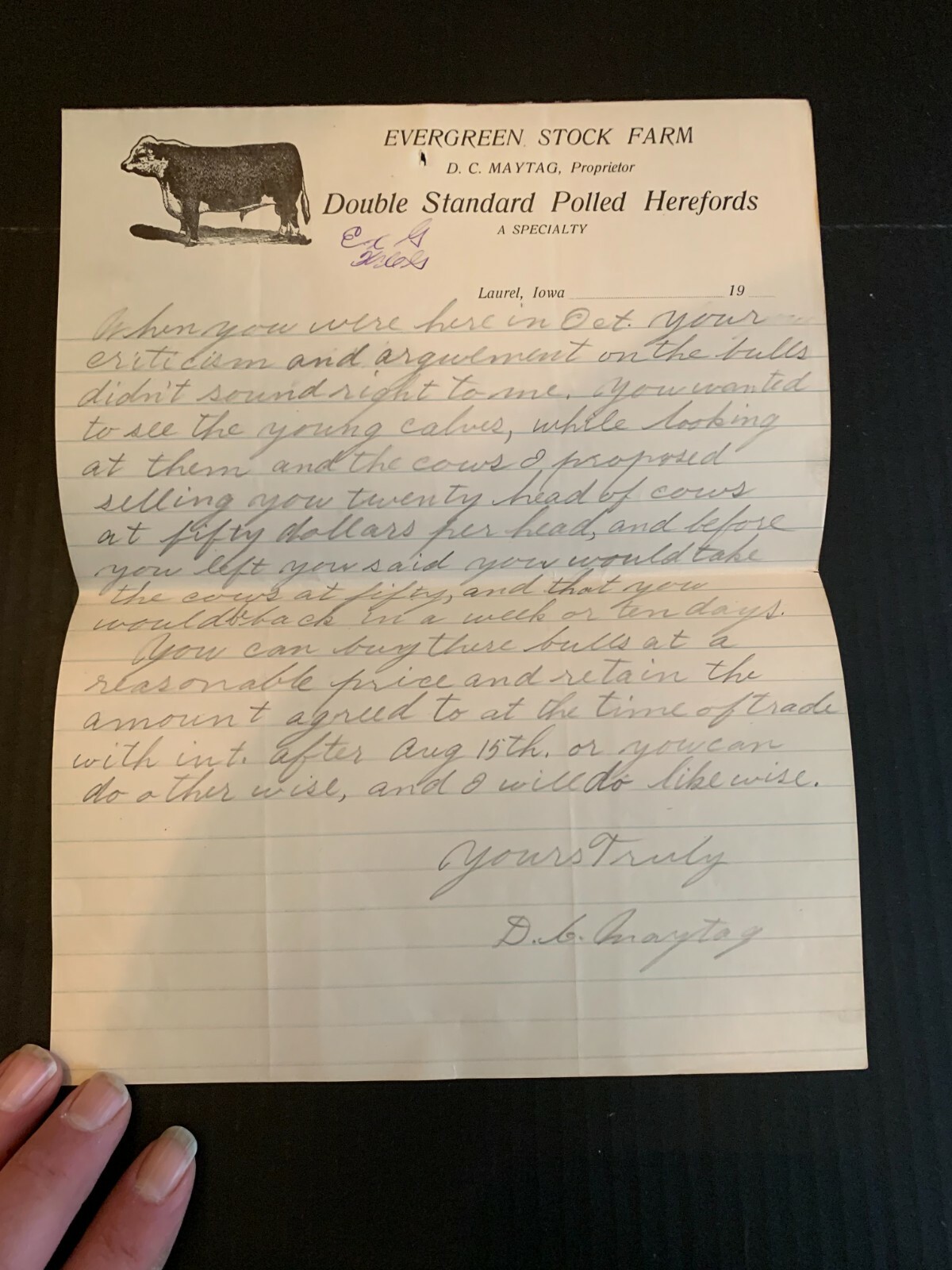 circa 1910 Evergreen Stock Farms Polled Herefords Letterhead Laurel Iowa