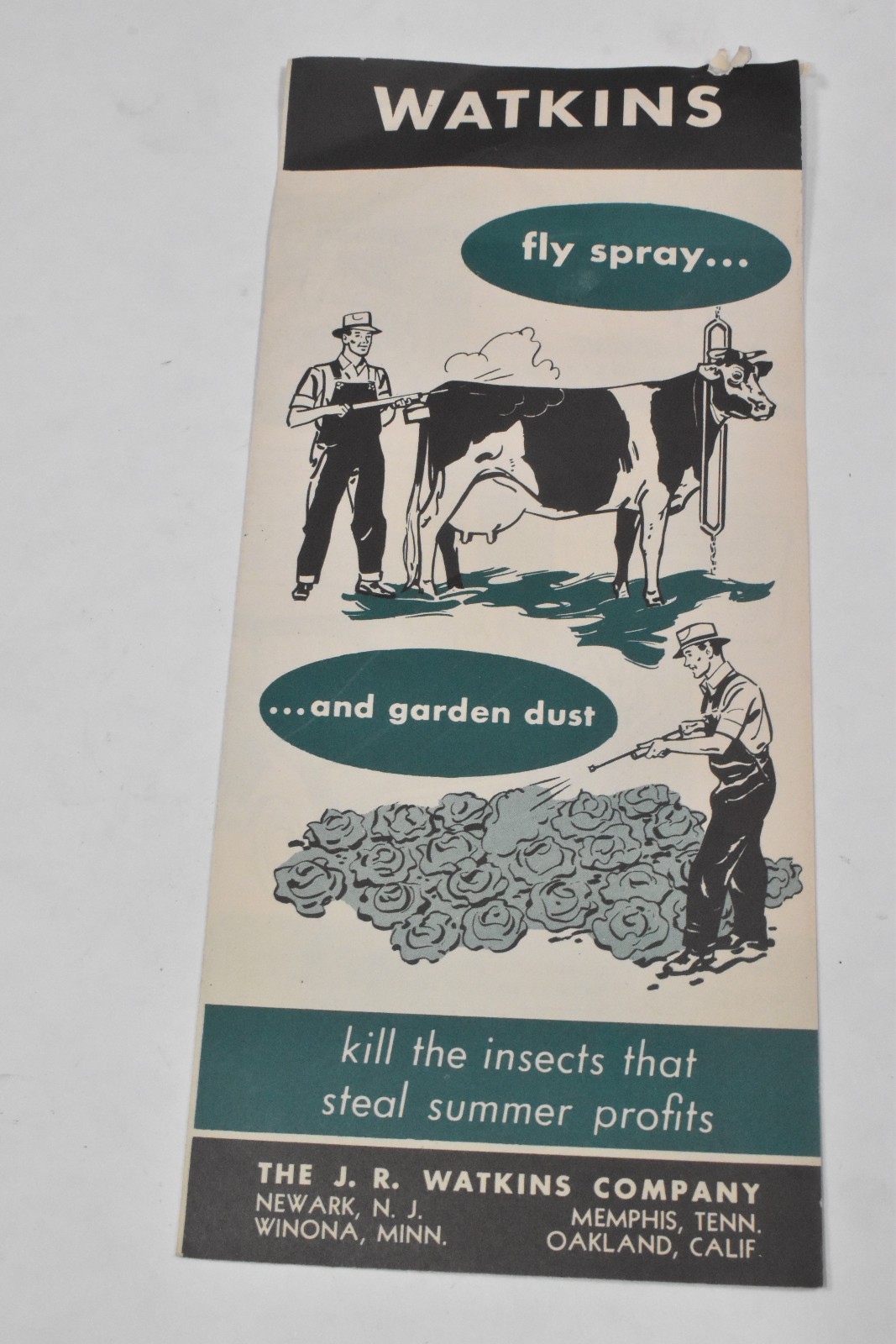 Vintage Watkins Fly Spray Livestock Farm Farming Advertising Sales Brochure