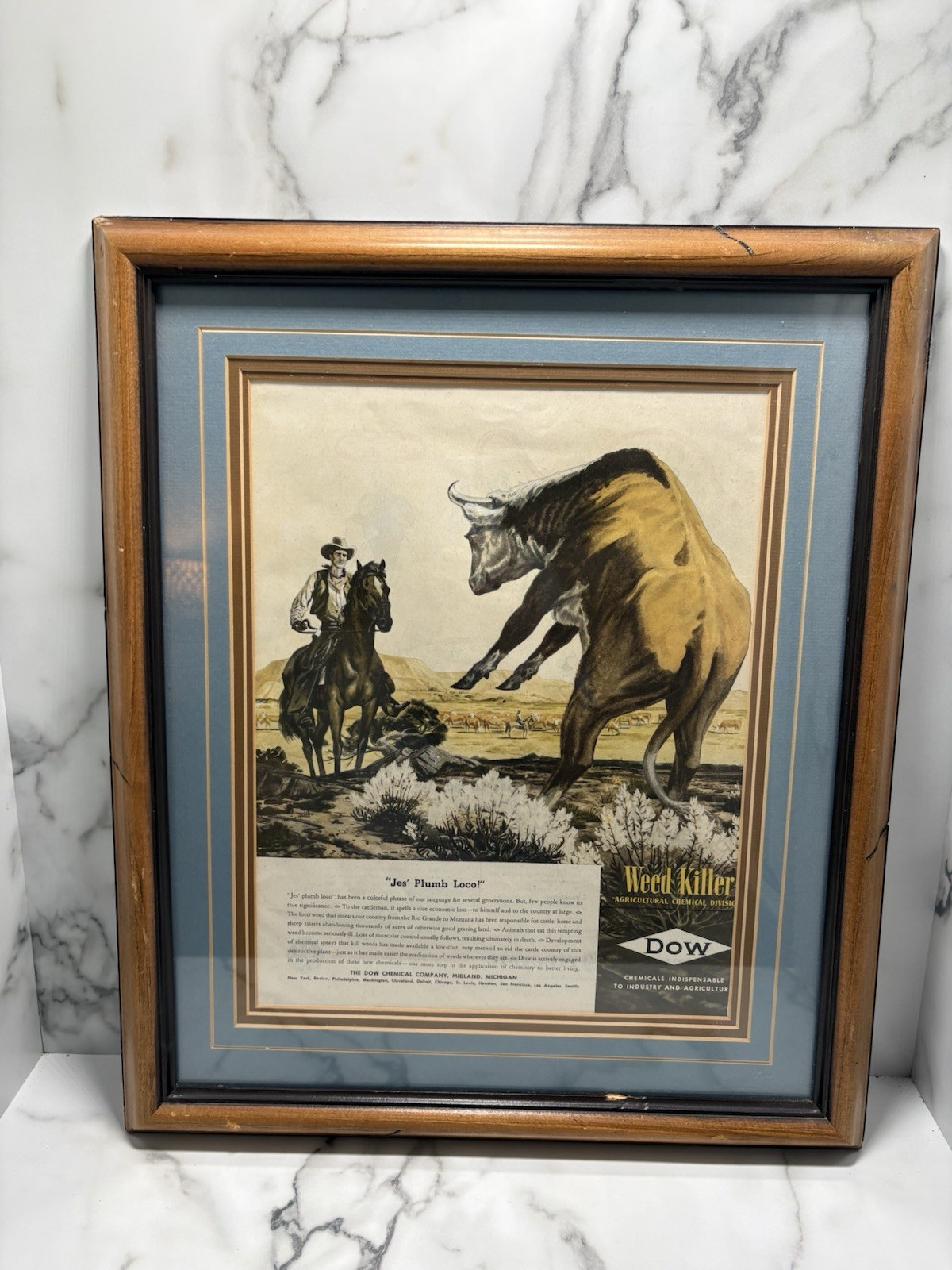 1946 Dow Chemicals Agriculture Division Weed Killer Midland Steer VTG Print Ad