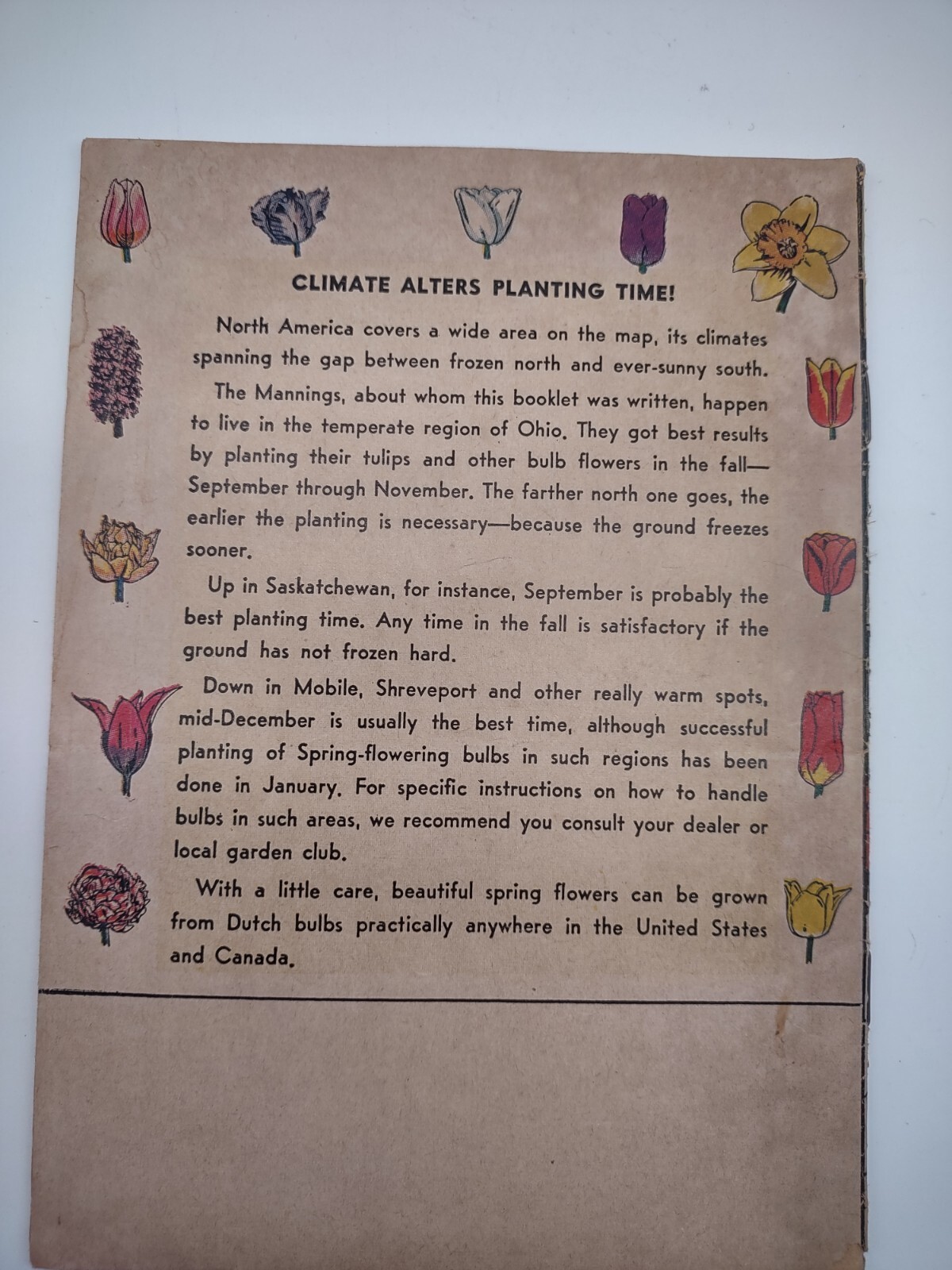 Vintage Ephemera – 1956 Bulb Magic Pamphlet – Bulb Growers Of Holland