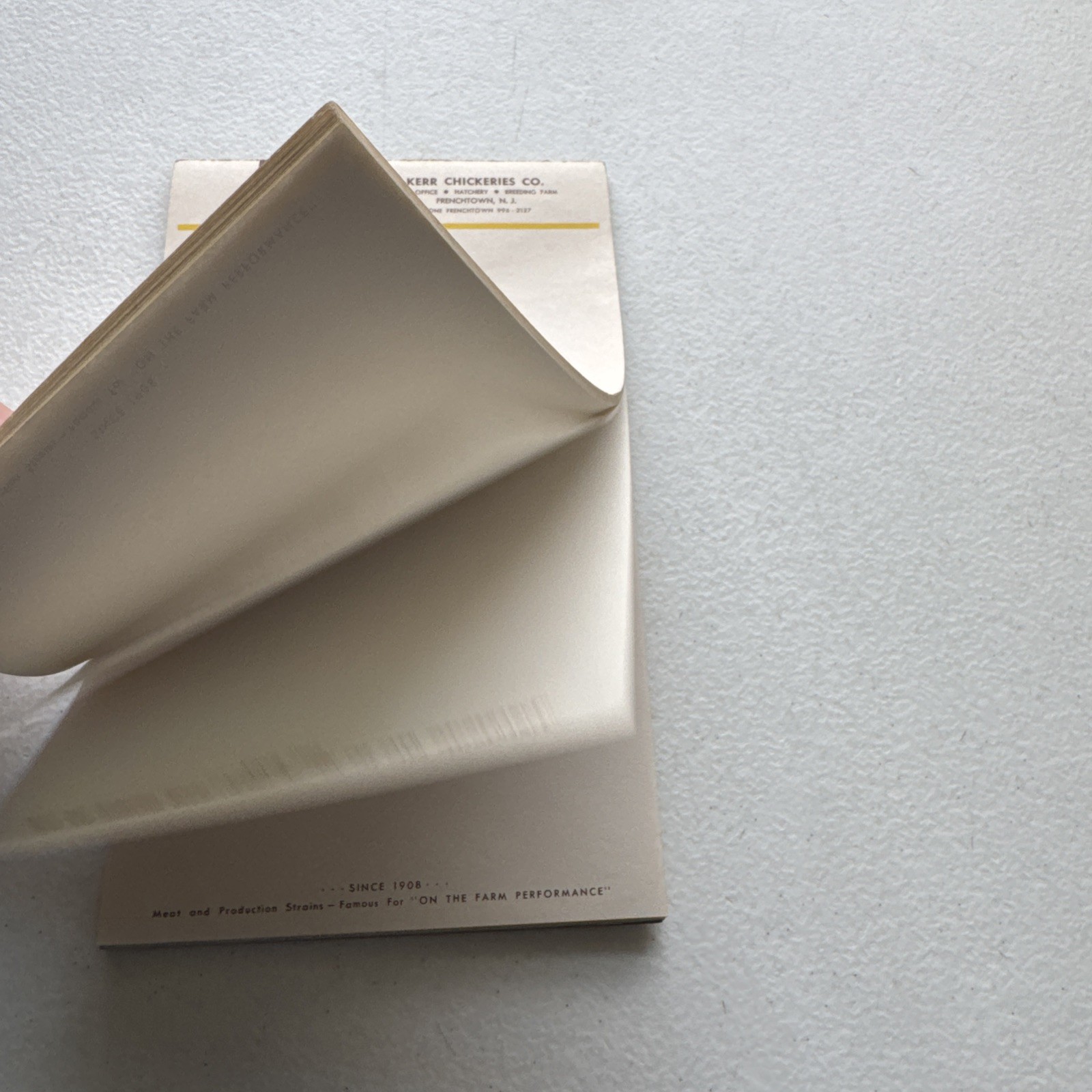Kerr Chickeries Co. Frenchtown, NJ Vintage Notepad Paper Tablet