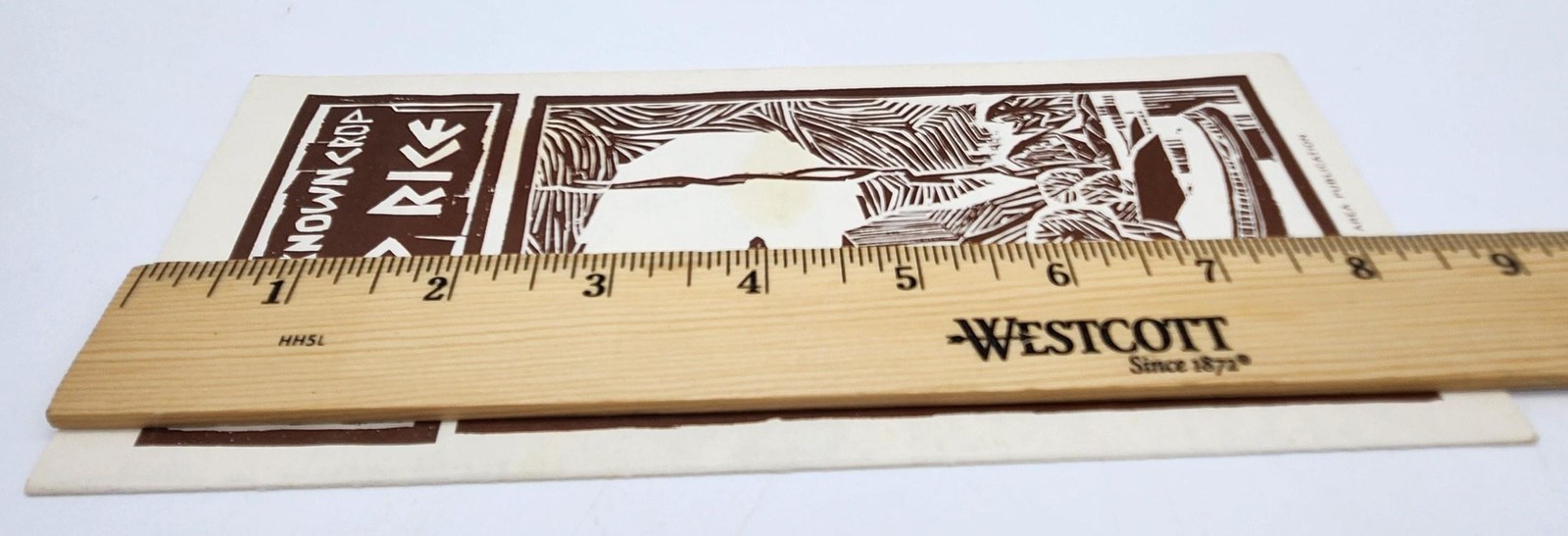 Unknown Crop Wild Rice Manitoba Heritage Cultural Affairs History Canada Food