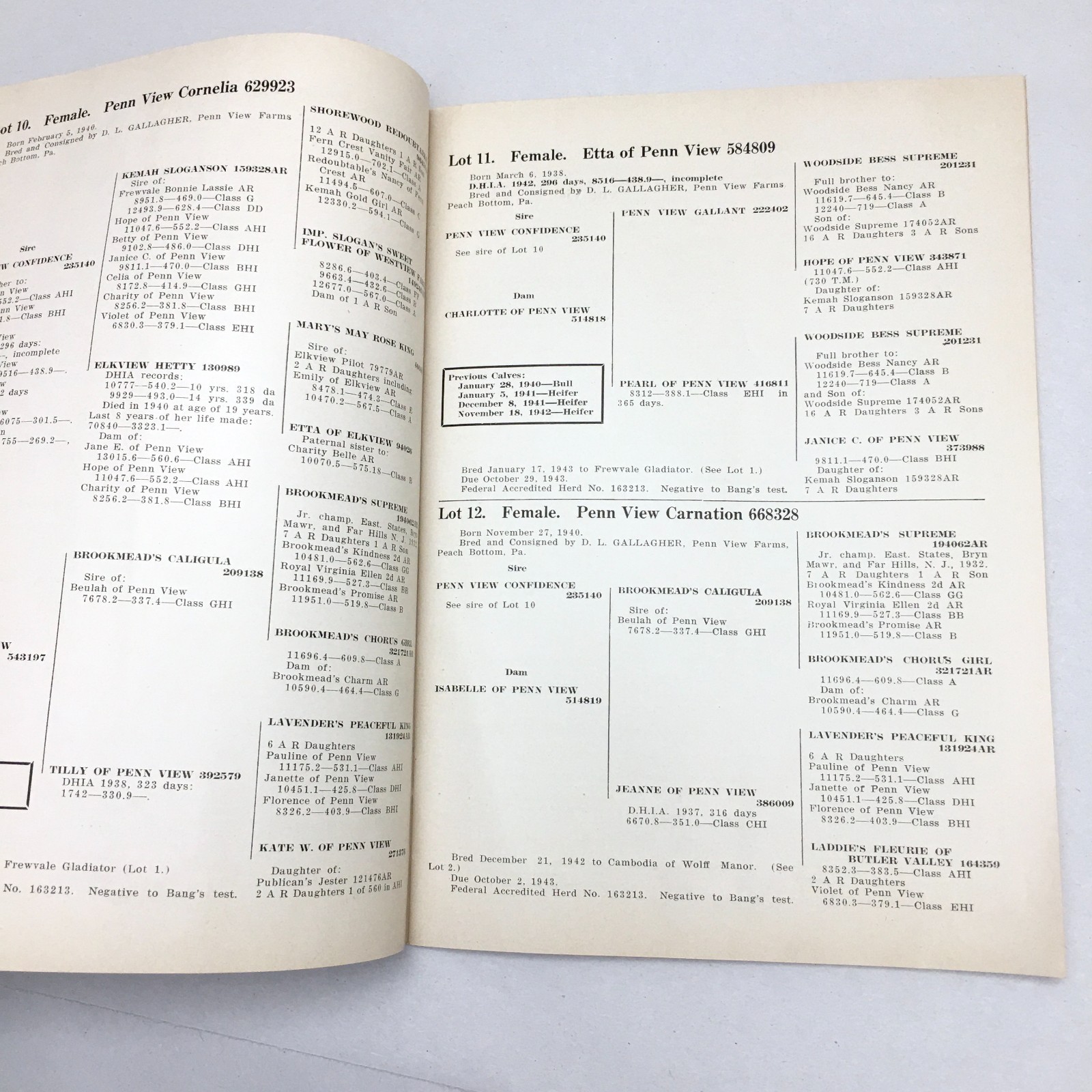 Vintage 1943 Livestock Dispersal Sale Catalog Penn View Farms Peach Bottom PA
