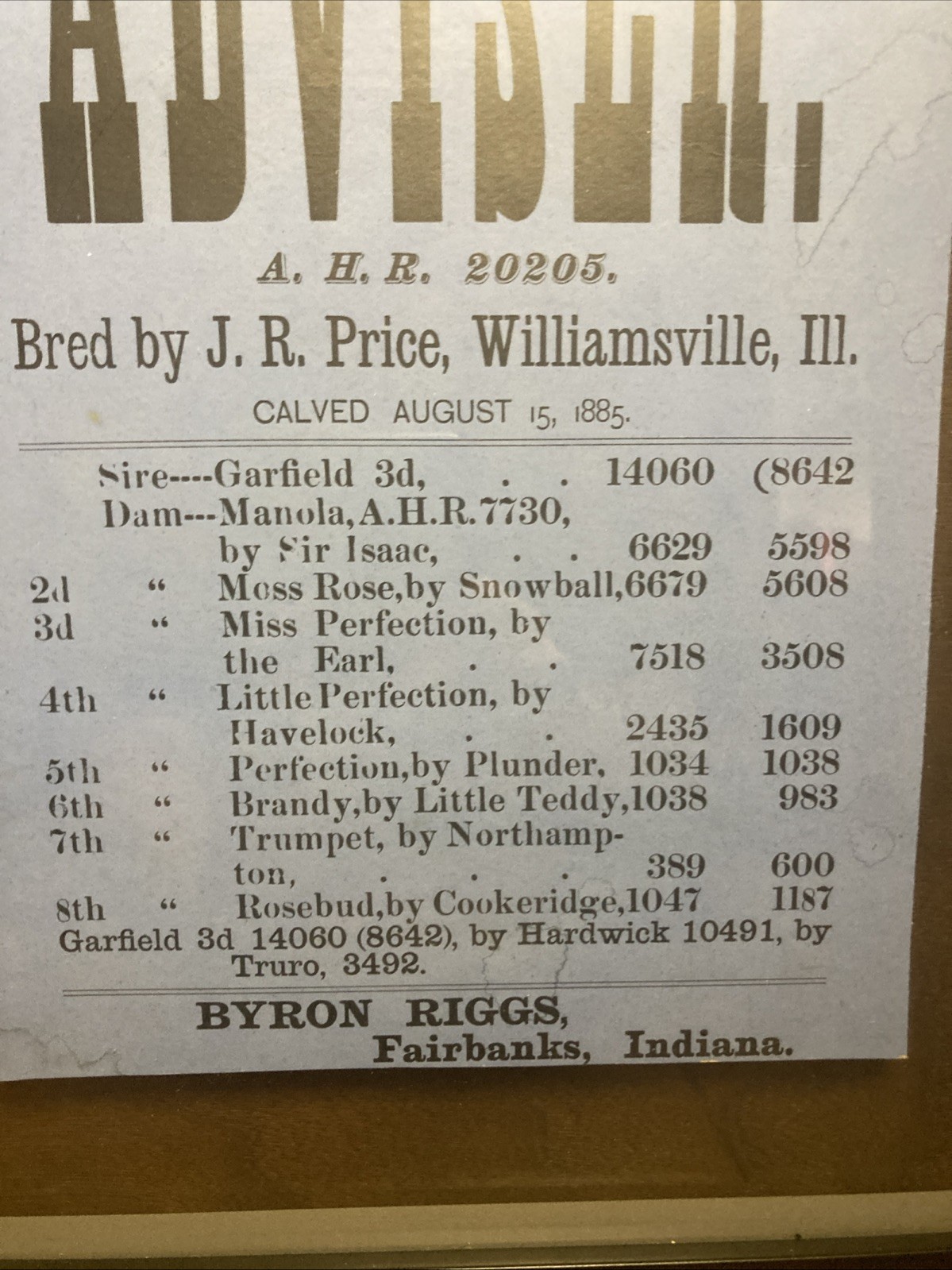 Framed 1885 Sale Bill Cattle Sale