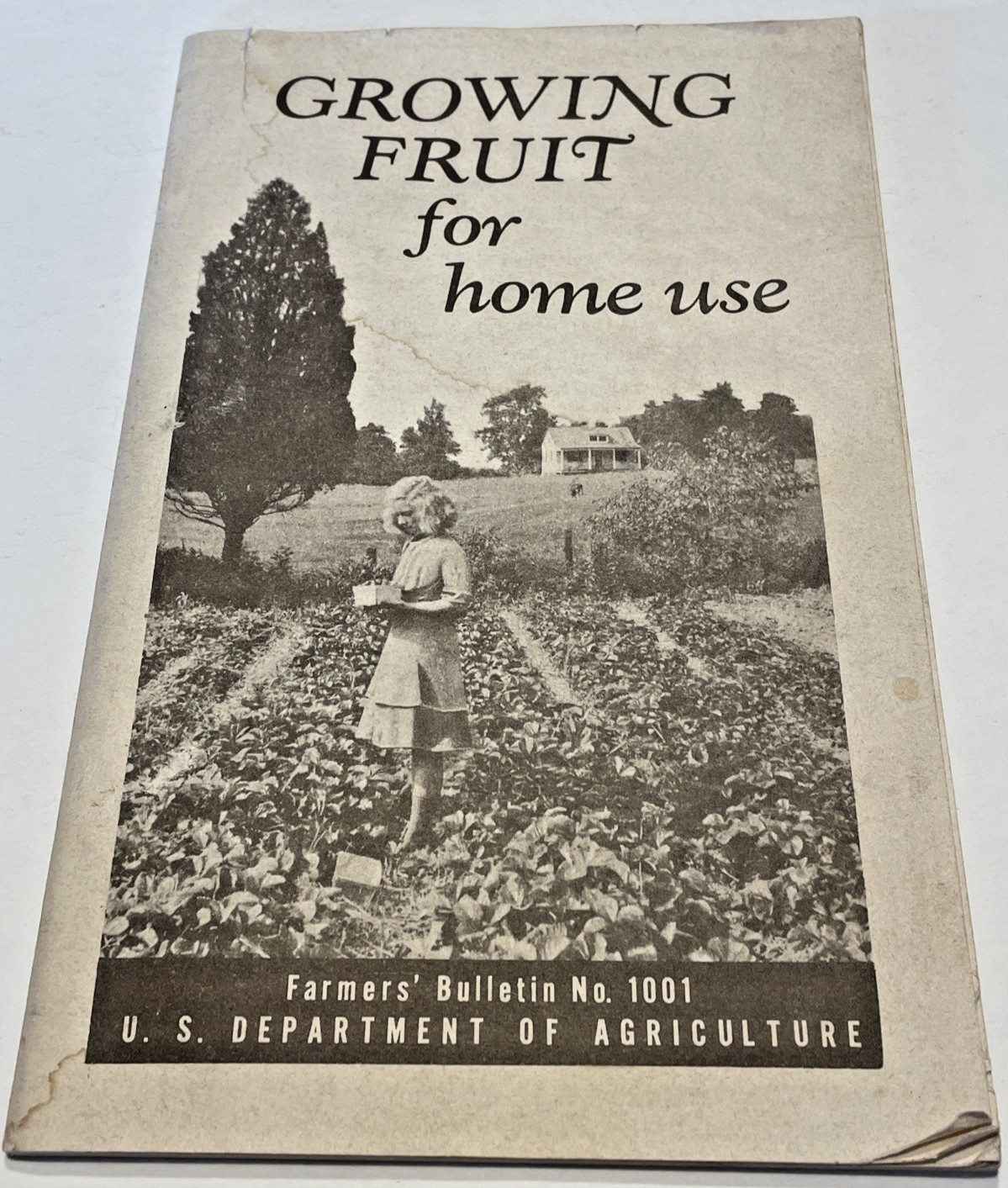 U.S. DEPARTMENT OF AGRICULTURE BROCHURE GROWING FRUIT FOR HOME USE 1948 VINTAGE