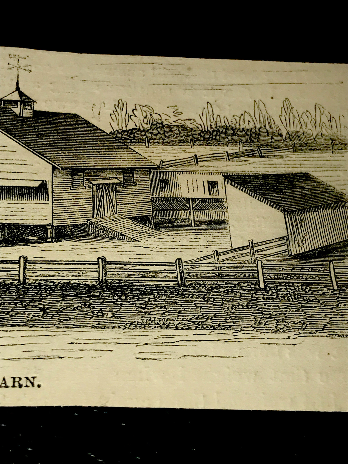 ORIGINAL 1872 Western Cattle Barn Farm Engraving Advertising
