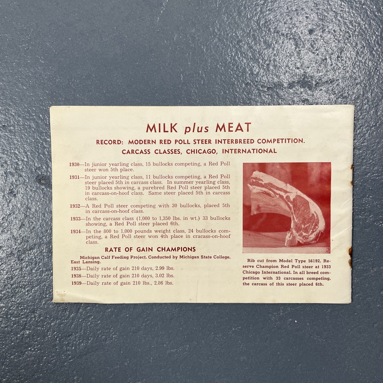 Lot Of Vintage 1930s & 1940s Farming Ephemera Livestock Cattle Club VTG Animal