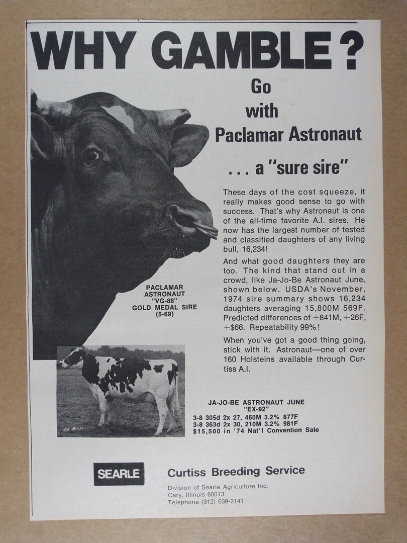 1975 Curtiss Breeding Service Paclamar Astronaut Bull vintage print Ad