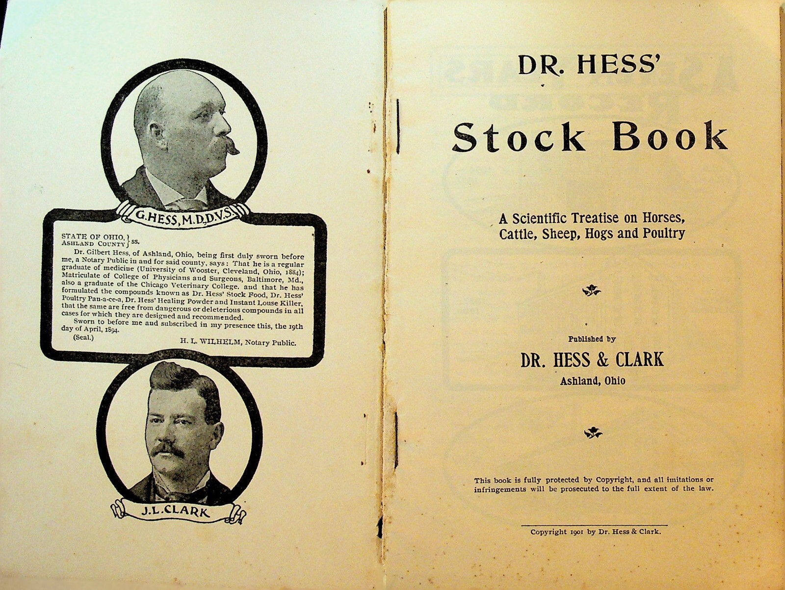 Dr Hess Stock Book Scientific Treatise on Horses Cattle Sheep Hogs Poultry 1901