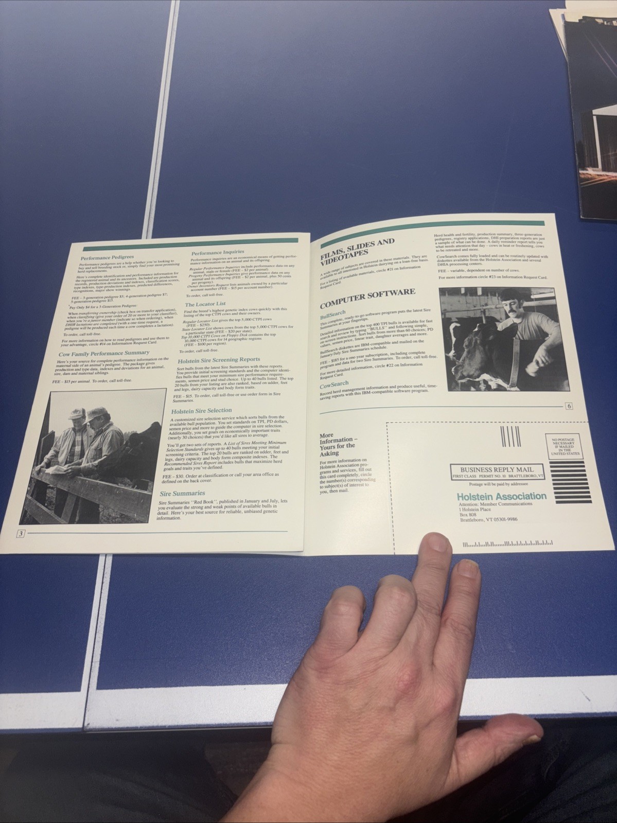 1988 Summer Holstein Association Brochure Guide To Programs & Services