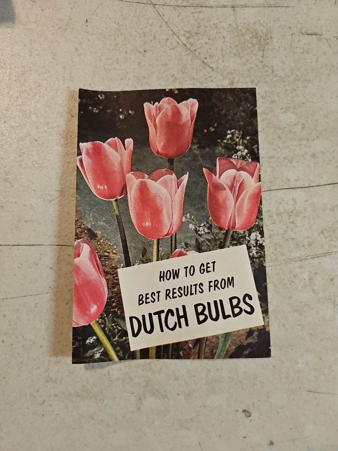 Vintage Associated Bulb Growers of Holland Brochure Dutch Bulbs