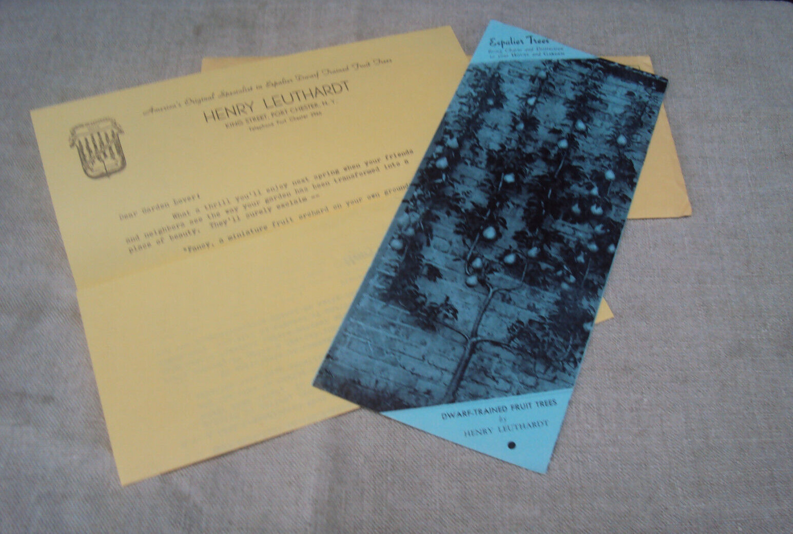 Scarce Vintage Folding Brochure Letter / Envelope Espalier Trees Henry Leuthardt