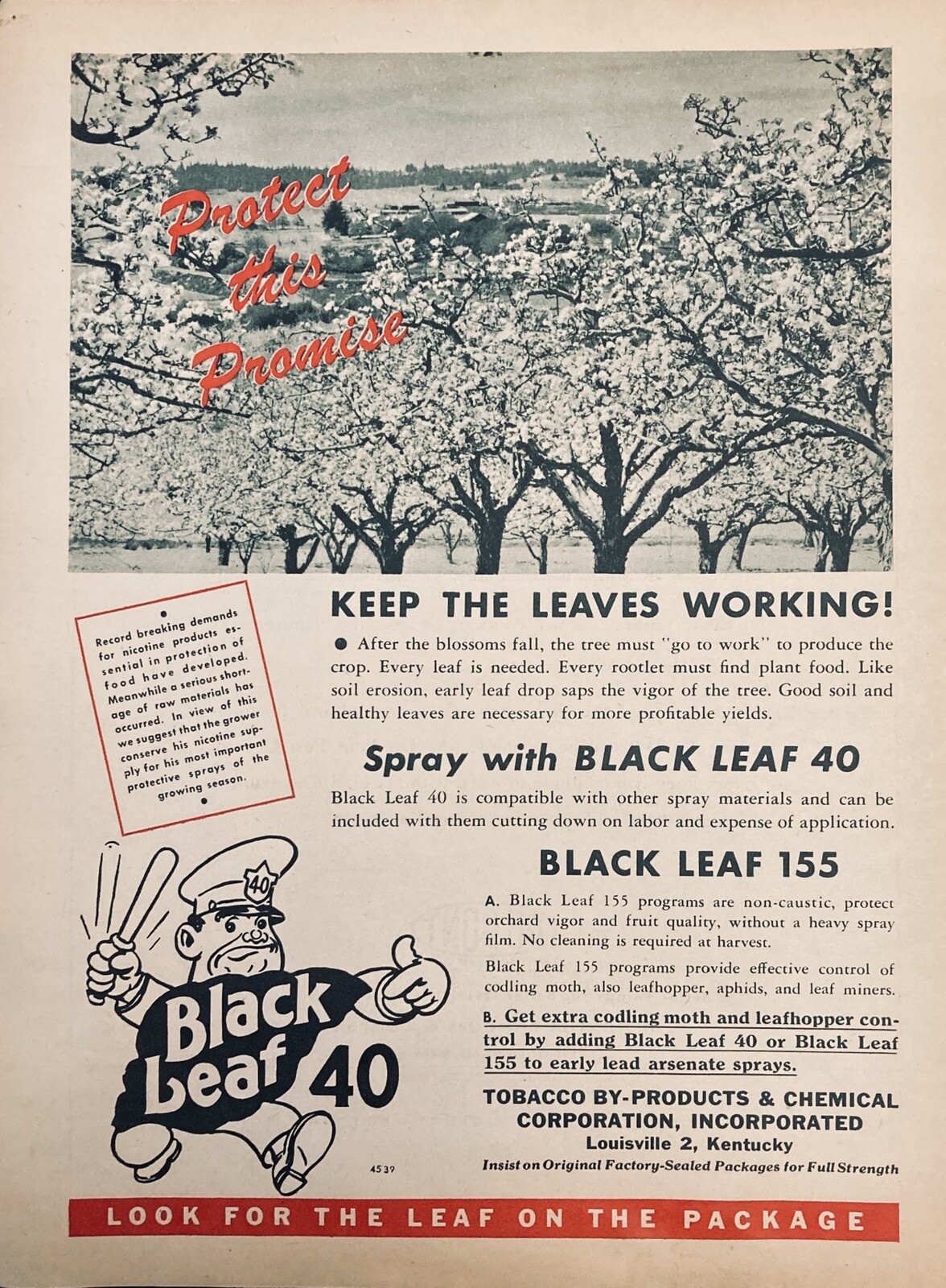1945 AD.(XF8))~TOBACCO BY-PRODUCTS CO. LOUISVILLE. BLACK LEAF 40 INSECTICIDE~