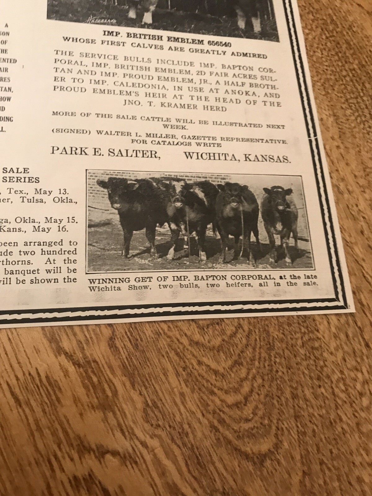 1919 Cattle Livestock Public Sale Poster – Wichita – Kansas – Cow Advertising
